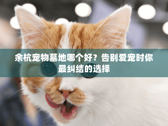 余杭宠物墓地哪个好？告别爱宠时你最纠结的选择