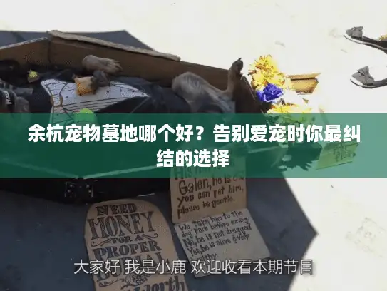 余杭宠物墓地哪个好？告别爱宠时你最纠结的选择