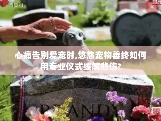 心痛告别爱宠时,悠悠宠物善终如何用专业仪式缓解悲伤?