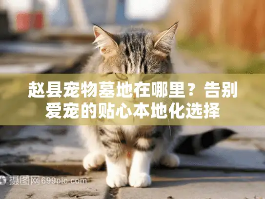 赵县宠物墓地在哪里?告别爱宠的贴心本地化选择 赵县宠物墓地在哪里?告别爱宠的贴心本地化选择