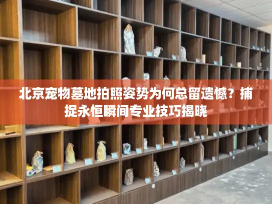 北京宠物墓地拍照姿势为何总留遗憾？捕捉永恒瞬间专业技巧揭晓