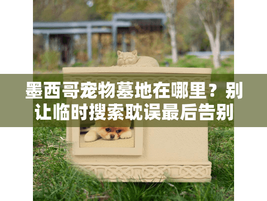 墨西哥宠物墓地在哪里？别让临时搜索耽误最后告别