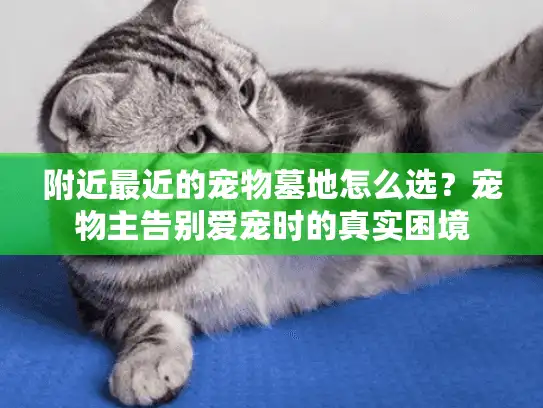 附近最近的宠物墓地怎么选？宠物主告别爱宠时的真实困境