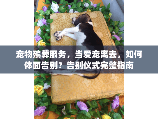 宠物殡葬服务，当爱宠离去，如何体面告别？告别仪式完整指南
