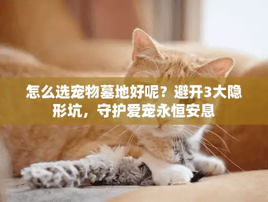 怎么选宠物墓地好呢？避开3大隐形坑，守护爱宠永恒安息