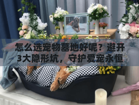 怎么选宠物墓地好呢？避开3大隐形坑，守护爱宠永恒安息