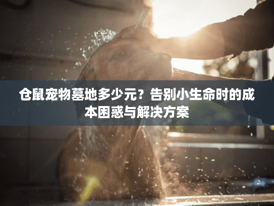 仓鼠宠物墓地多少元？告别小生命时的成本困惑与解决方案