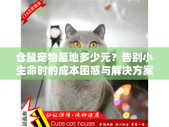 仓鼠宠物墓地多少元？告别小生命时的成本困惑与解决方案