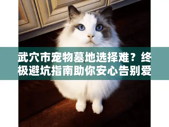 武穴市宠物墓地选择难？终极避坑指南助你安心告别爱宠