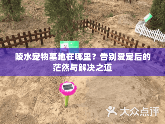陵水宠物墓地在哪里?告别爱宠后的茫然与解决之道 陵水宠物墓地在哪里?告别爱宠后的茫然与解决之道