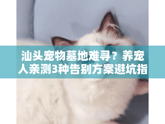 汕头宠物墓地难寻?养宠人亲测3种告别方案避坑指南 汕头宠物墓地难寻?养宠人亲测3种告别方案避坑指南