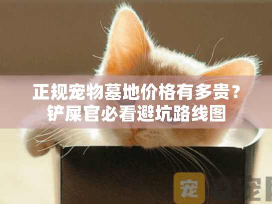 正规宠物墓地价格有多贵？铲屎官必看避坑路线图