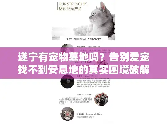 遂宁有宠物墓地吗？告别爱宠找不到安息地的真实困境破解