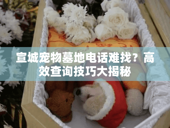 宣城宠物墓地电话难找？高效查询技巧大揭秘
