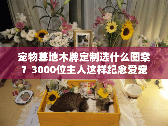 宠物墓地木牌定制选什么图案?3000位主人这样纪念爱宠 宠物墓地木牌定制选什么图案?3000位主人这样纪念爱宠