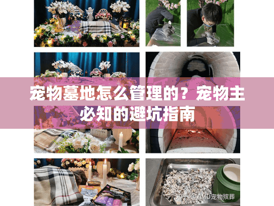 宠物墓地怎么管理的？宠物主必知的避坑指南