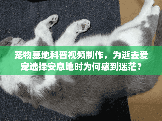 宠物墓地科普视频制作,为逝去爱宠选择安息地时为何感到迷茫? 宠物墓地科普视频制作,为逝去爱宠选择安息地时为何感到迷茫?