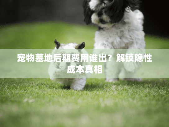 宠物墓地后期费用谁出？解锁隐性成本真相