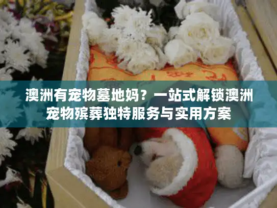 澳洲有宠物墓地妈?一站式解锁澳洲宠物殡葬独特服务与实用方案 澳洲有宠物墓地妈?一站式解锁澳洲宠物殡葬独特服务与实用方案
