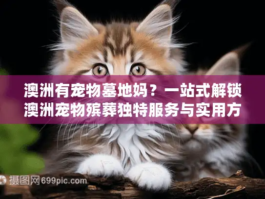 澳洲有宠物墓地妈?一站式解锁澳洲宠物殡葬独特服务与实用方案 澳洲有宠物墓地妈?一站式解锁澳洲宠物殡葬独特服务与实用方案