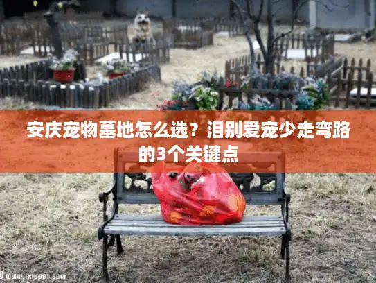 安庆宠物墓地怎么选？泪别爱宠少走弯路的3个关键点