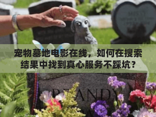 宠物墓地电影在线，如何在搜索结果中找到真心服务不踩坑？