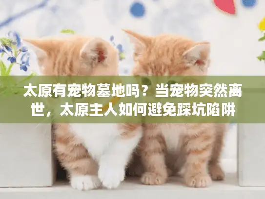 太原有宠物墓地吗?当宠物突然离世,太原主人如何避免踩坑陷阱 太原有宠物墓地吗?当宠物突然离世,太原主人如何避免踩坑陷阱