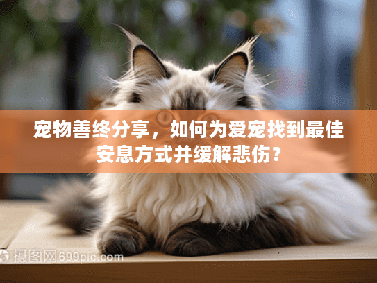 宠物善终分享，如何为爱宠找到最佳安息方式并缓解悲伤？