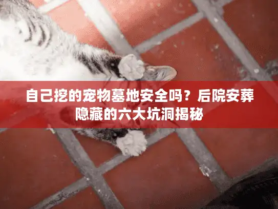 自己挖的宠物墓地安全吗？后院安葬隐藏的六大坑洞揭秘