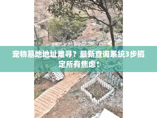 宠物墓地地址难寻？最新查询系统3步搞定所有焦虑！