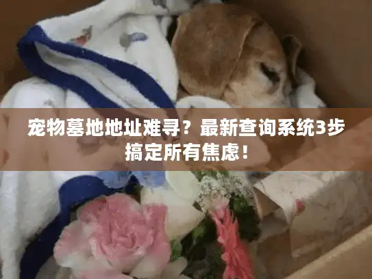宠物墓地地址难寻？最新查询系统3步搞定所有焦虑！