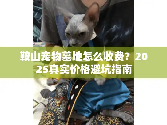 鞍山宠物墓地怎么收费？2025真实价格避坑指南