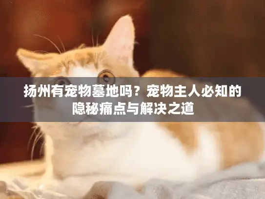 扬州有宠物墓地吗?宠物主人必知的隐秘痛点与解决之道 扬州有宠物墓地吗?宠物主人必知的隐秘痛点与解决之道