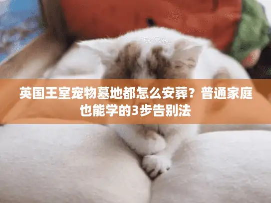 英国王室宠物墓地都怎么安葬?普通家庭也能学的3步告别法 英国王室宠物墓地都怎么安葬?普通家庭也能学的3步告别法