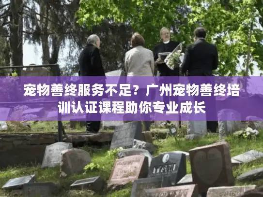 宠物善终服务不足？广州宠物善终培训认证课程助你专业成长