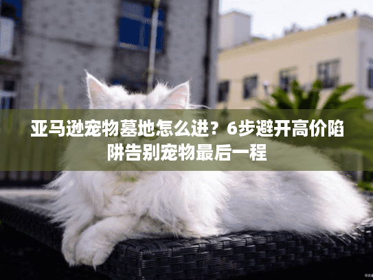 亚马逊宠物墓地怎么进？6步避开高价陷阱告别宠物最后一程