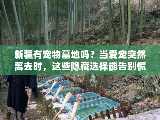 新疆有宠物墓地吗？当爱宠突然离去时，这些隐藏选择能告别慌乱