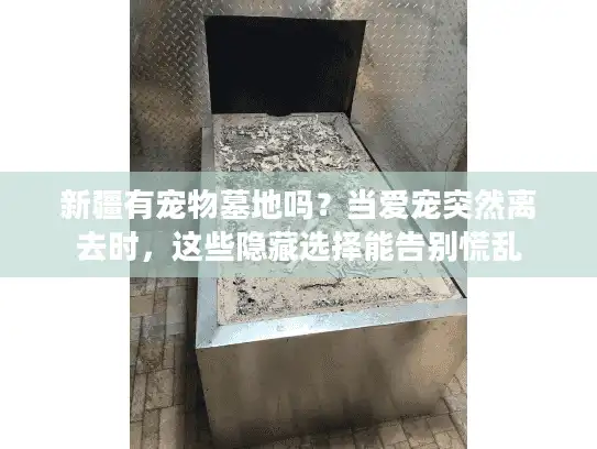 新疆有宠物墓地吗？当爱宠突然离去时，这些隐藏选择能告别慌乱