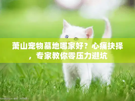 萧山宠物墓地哪家好？心痛抉择，专家教你零压力避坑