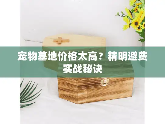 宠物墓地价格太高？精明避费实战秘诀