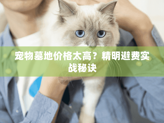 宠物墓地价格太高？精明避费实战秘诀