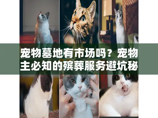 宠物墓地有市场吗?宠物主必知的殡葬服务避坑秘籍! 宠物墓地有市场吗?宠物主必知的殡葬服务避坑秘籍!