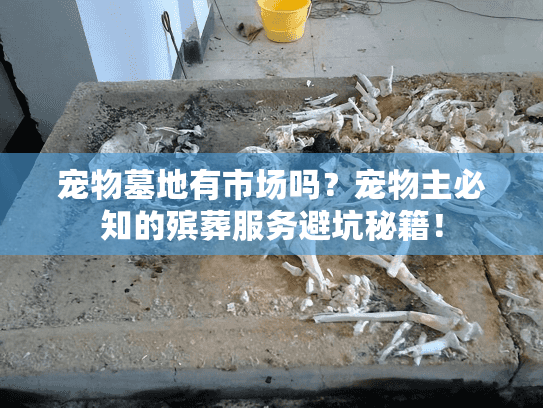 宠物墓地有市场吗?宠物主必知的殡葬服务避坑秘籍! 宠物墓地有市场吗?宠物主必知的殡葬服务避坑秘籍!