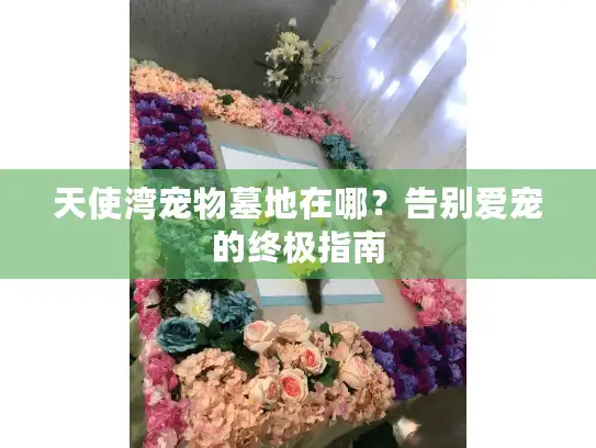 天使湾宠物墓地在哪？告别爱宠的终极指南