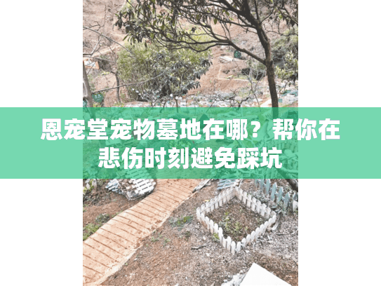 恩宠堂宠物墓地在哪?帮你在悲伤时刻避免踩坑 恩宠堂宠物墓地在哪?帮你在悲伤时刻避免踩坑