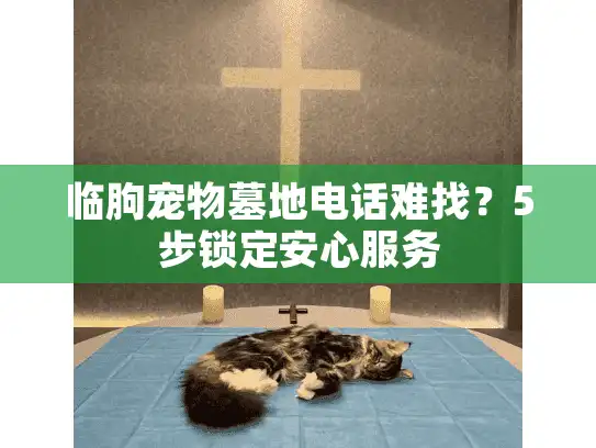 临朐宠物墓地电话难找?5步锁定安心服务 临朐宠物墓地电话难找?5步锁定安心服务