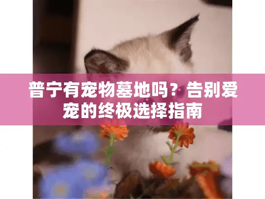 普宁有宠物墓地吗？告别爱宠的终极选择指南