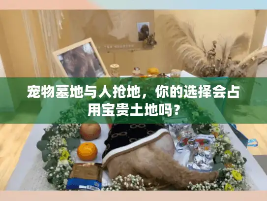 宠物墓地与人抢地，你的选择会占用宝贵土地吗？