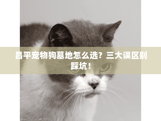 昌平宠物狗墓地怎么选？三大误区别踩坑！