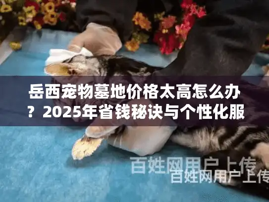 岳西宠物墓地价格太高怎么办？2025年省钱秘诀与个性化服务对比